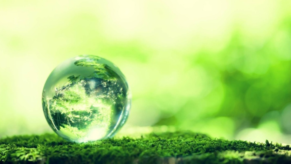 Green Economy